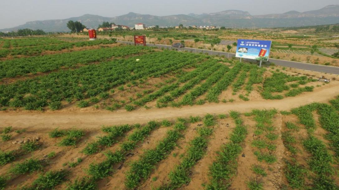 Wksn7ZUnqP.png Wksn7ZUnqP.png